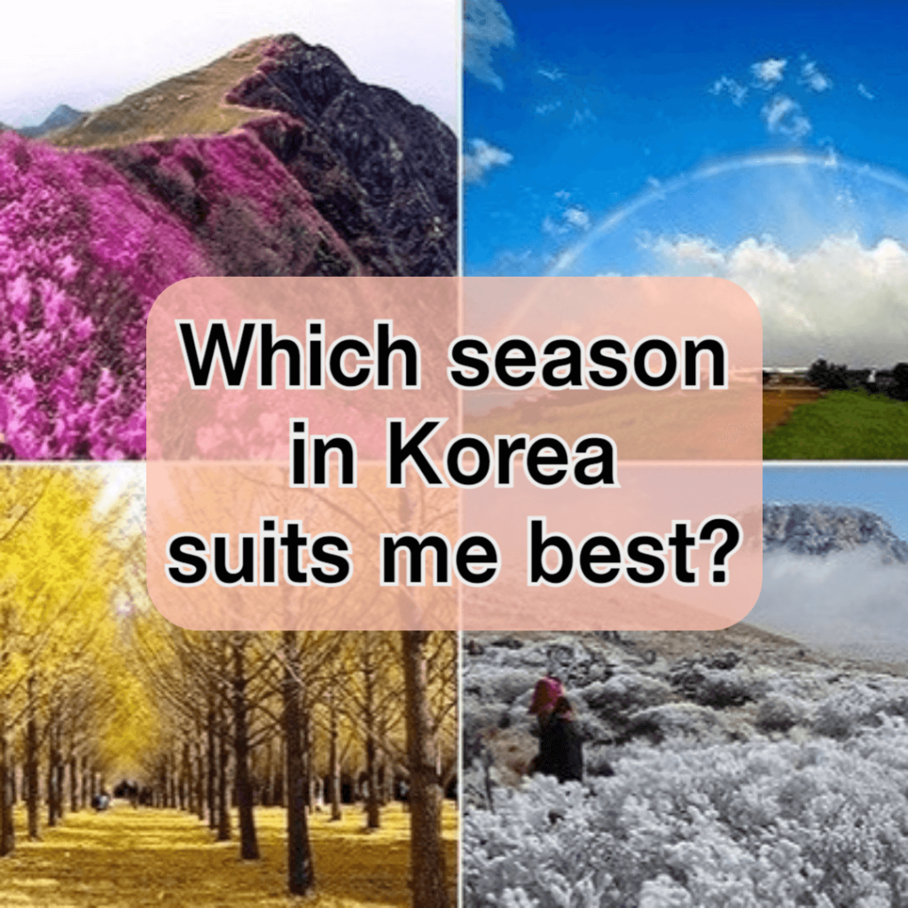 Which season in Korea suits me best