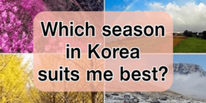 Which season in Korea suits me best